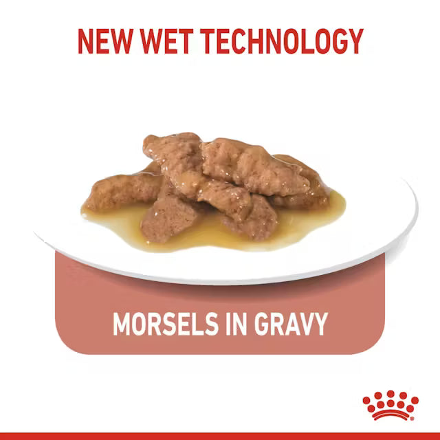 Royal Canin Cat Indoor Gravy - 85g (12 Pack)